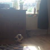 Profile Picture of Kee Wee Me (@keeweeme8668) on Youtube