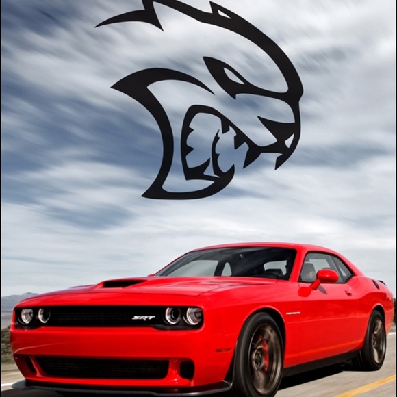 Profile Picture of Daniel Garcia (@daniel338355) on Poshmark