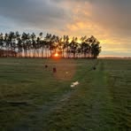 Profile Picture of Michael Ringleb (@Michael-Ringleb) on Facebook