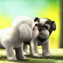 Profile Picture of Anh Kha (@anhkha0dep) on Twitter