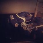 Profile Picture of Peter Lindgren (@lindgren2522) on Instagram