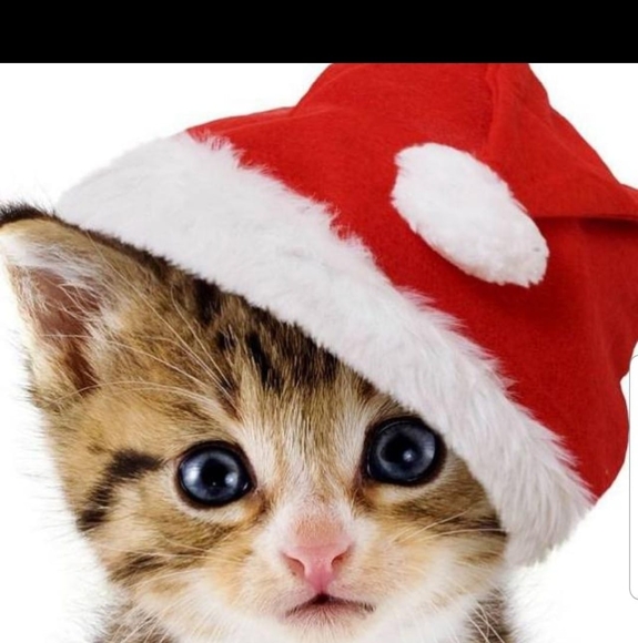 Profile Picture of Malaïca Lemène (@philocia1) on Poshmark