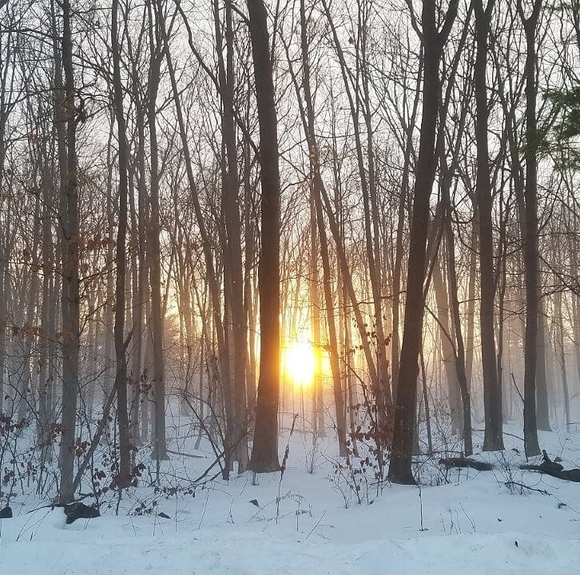 Profile Picture of William Brender (@wbrender) on Poshmark