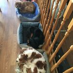 Profile Picture of lisa hagert (@lisa.hagert) on Instagram