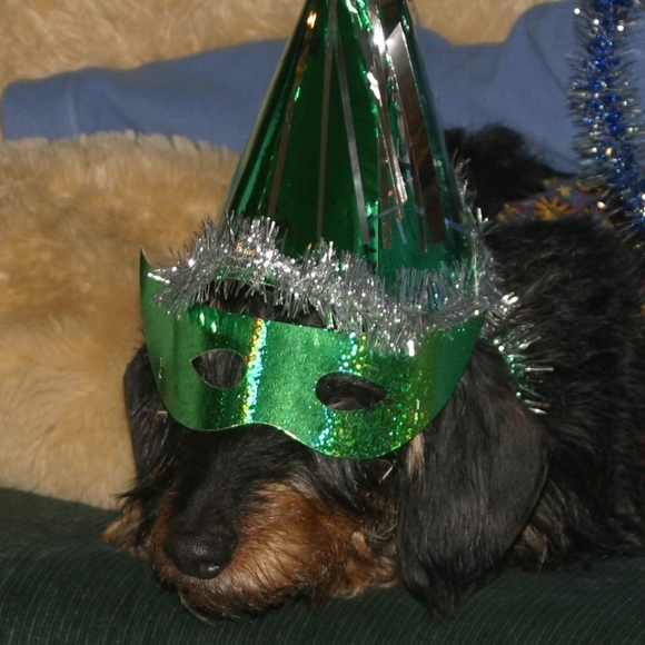 Profile Picture of Marlene Gaidosh (@mgaidosh) on Poshmark