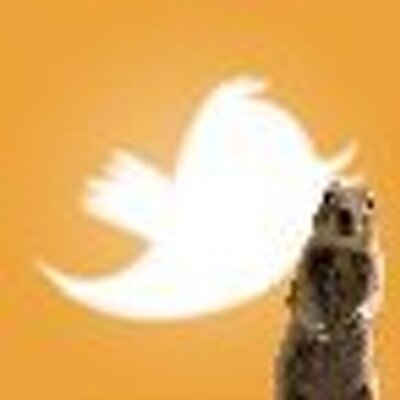 Profile Picture of Steve Ragaller (@sjragaller) on Twitter