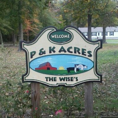 Profile Picture of Kurt Wise (@Kurt_Wise6) on Twitter