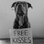 Profile Picture of Juan Alejandro (@v-ivaintensamente) on Flickr