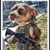 Profile Picture of Dwight Matthews (@dwight.matthews.758) on Facebook