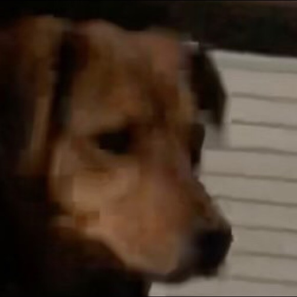 Profile Picture of Erick Guzman (@erickguzman47) on Poshmark