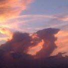 Troy Crowe - Facebook Profile Picture of Troy Crowe (@troy.crowe.378) on Facebook