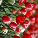 Profile Picture of Douglass (@bartolomeige5) on Instagram