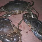 Profile Picture of Noel Cuevas (@noel.cuevas.1000) on Facebook