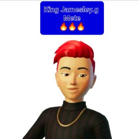 King Master Transition 👑💯🔥 - Tiktok Profile Picture of King Master Transition 👑💯🔥 (@jamesley.g) on Tiktok