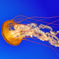 Profile Picture of Brian Spindler (@brian-spindler-10) on Quora