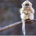 Profile Picture of Hugo Gaona (@gaona0580) on Pinterest
