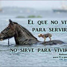 Profile Picture of David Luna (@Luba1990Luna) on Twitter