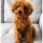 Profile Picture of Marcia Kidder (@cassandra.vpud5n79) on Instagram