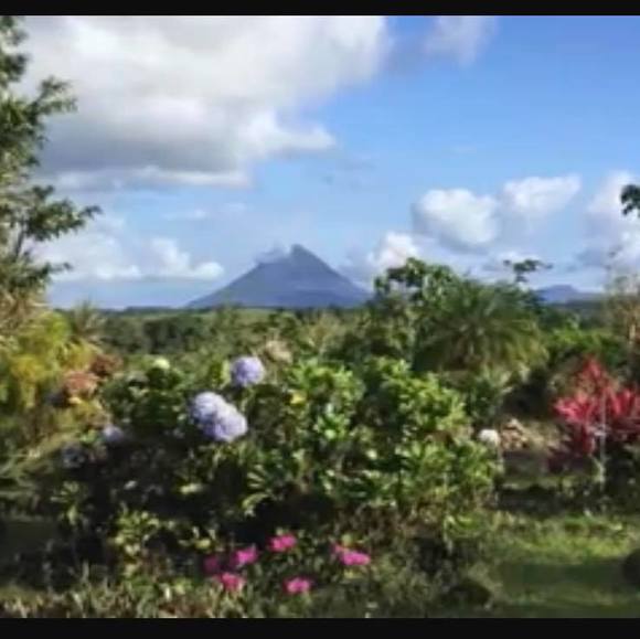 Profile Picture of Sandra Littlejohn (@booglesandy) on Poshmark