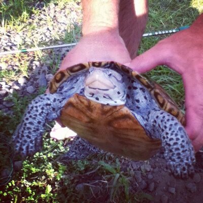 Profile Picture of Kevin Yager (@kevin_yager) on Twitter