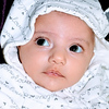 Profile Picture of Fayaz Saeed (@ahmed_dxb) on Flickr