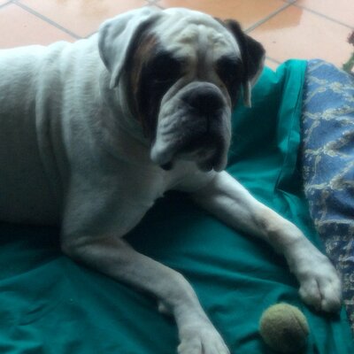 Profile Picture of Anna Maria Fornabaio (@annamaria_59) on Twitter
