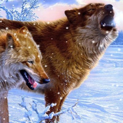 Profile Picture of Thomas Backstrom (@ThomasBackstro4) on Twitter