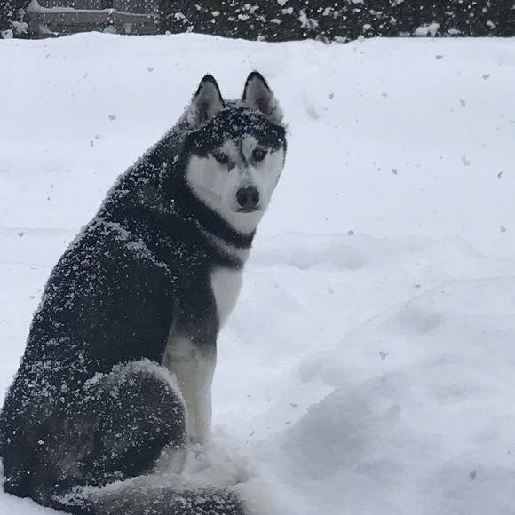 Profile Picture of Sonia Haddad (@sonia_haddad) on Poshmark