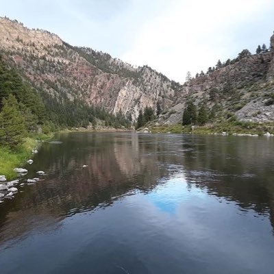 Profile Picture of Cindy (@panzer2436) on Twitter