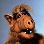 Profile Picture of Alexander Gottschlich (@alex_gottschlich) on Instagram