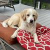 Profile Picture of Cathy Cox (@@cathycox1) on Tiktok