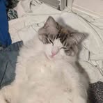 Profile Picture of Alexander Szewczuk (@alexander.szewczuk) on Facebook