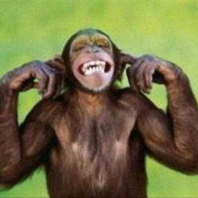 Profile Picture of Mark Wainscott (@MarkWainscott) on Twitter