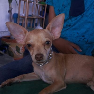 Profile Picture of Anuar Yuret (@AnuarYuret) on Twitter