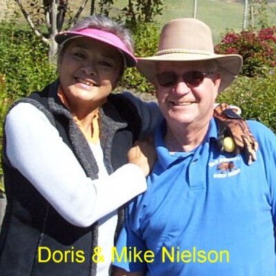 Profile Picture of Michael Nielson (@mnielson) on Twitter