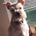 Profile Picture of Richard Taber576 (@richardtaber0) on Tiktok