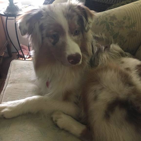 Profile Picture of Marilyn Trinka (@marilyntrinka) on Poshmark