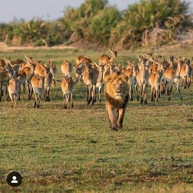 Profile Picture of Rachid Ali Jamal (@RachidAliJamal1) on Twitter