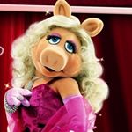 Profile Picture of Lisa Piggy (@mrspiggys_sw_journey) on Instagram