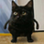 Profile Picture of Rixt.amarins (@rixt.amarins) on Flickr