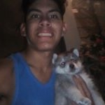 Profile Picture of Alejandro Gaona (@gaona8897) on Instagram