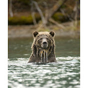 Profile Picture of Brian McKie (@surfrott) on Youtube