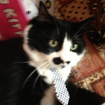 Profile Picture of Kane Jackson (@t_k_j) on Flickr