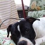 Profile Picture of Paula Terranova (@meanauntiep) on Instagram