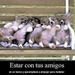 Profile Picture of Fernando Colmenares (@fernandocol2003) on Pinterest