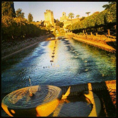 Profile Picture of Eloisa Lopez Robledo (@29_robledo) on Twitter