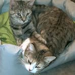 Profile Picture of Sandra Hack (@sandrahack38) on Facebook