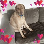 Profile Picture of Marsha Kay Haugen Goodman (@marsha.haugengoodman) on Facebook