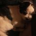 Profile Picture of Mark Rudisail (@mark.rudisail.96) on Facebook