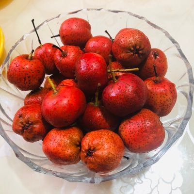 Profile Picture of PingLiu (@PingLiu44036480) on Twitter